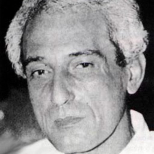 Naji_ElAli